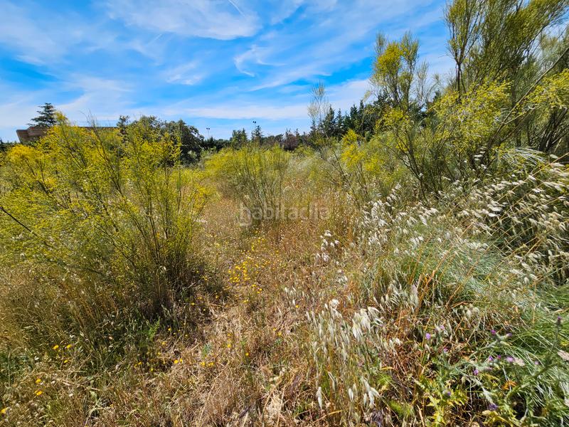 Foto b535c0ff-b2f4-4bcf-a22f-4a806e48ac8b. Residential plot in calle bruselas 415 in Uceda