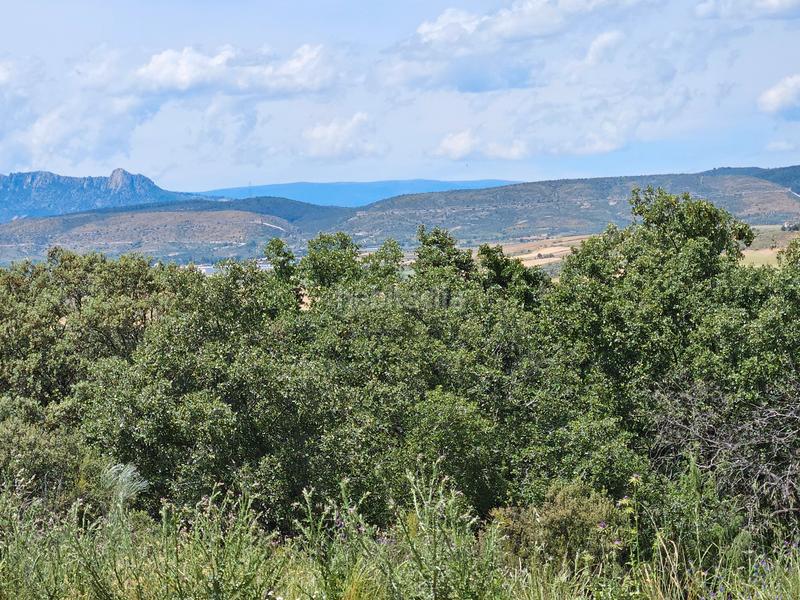 Foto bc7f4eb4-f27e-4b7e-b3b7-5e59c617386c. Residential plot in calle bruselas 415 in Uceda