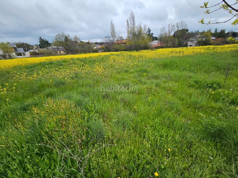 Foto d505a8d9-ae03-432f-a7d2-1e2db87f4648. Terrain résidentiel dans Soto del Real