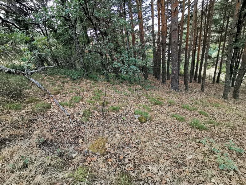 Foto cc8061c2-b5e3-46a8-92b2-f2ec21505bc2. Terreno residenziale in Miraflores de la Sierra