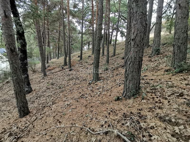 Foto d56dc816-a7e6-4f91-adc7-09c9076ccb5b. Terreno residenziale in Miraflores de la Sierra