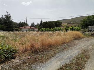 Terreny residencial a Patones. Terreno totalmente plano, ideal para construir casa unifamiliar,