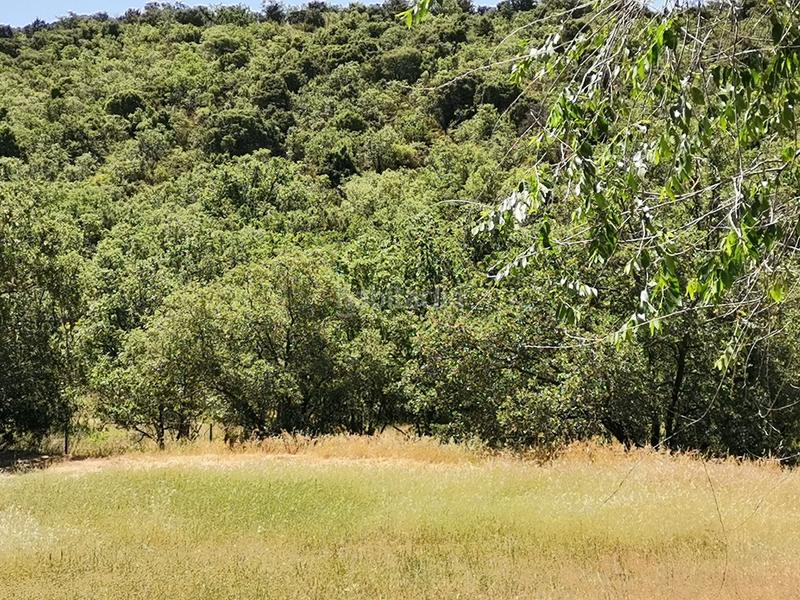 Foto bf449bba-c852-4a87-837b-fafb09482ec7. Wohngrundstück in Uceda