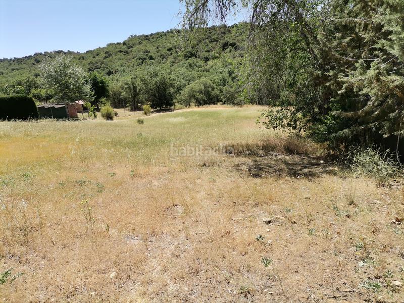 Foto ee9a339c-c3bc-4989-8e87-1b939ba581cc. Wohngrundstück in Uceda