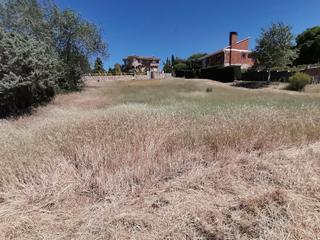 Terrain résidentiel à Uceda. Parcela rectangular, con espacio para casa, zona ajardinada y pi