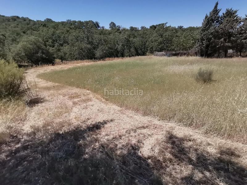 Foto a9daf31a-81b7-4280-86ef-5f82dcc01abe. Terreno residencial parcela rectangular, con espacio para casa, zona ajardinada y piscina, en caraquíz en Uceda