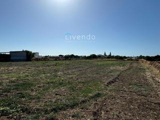 Finca rústica a El Palmar. Parcela en venta en el palmar