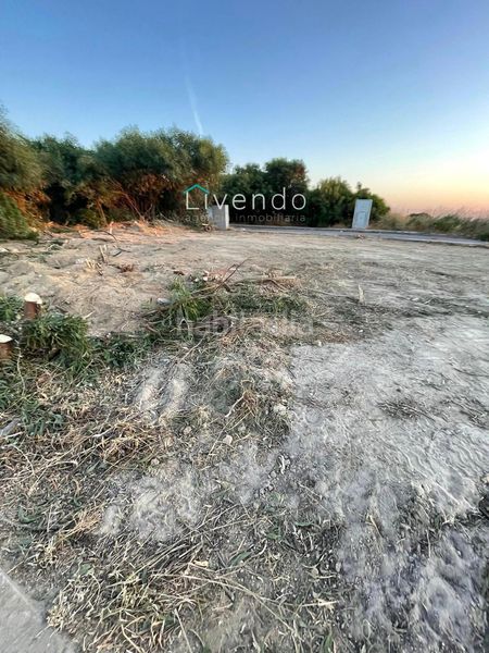 Foto c1b4bfa5-df0e-489a-8467-49f852d392ed. Finca rústica parcela urbana en Vejer en Vejer Vejer de la Frontera