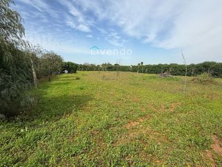Landgut in Barrio Nuevo. Parcela en venta en zona la florida