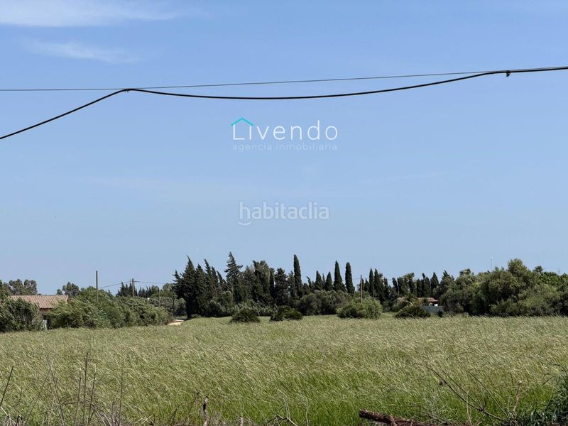 Foto 50ba5941-003c-4986-bc38-c6e8a5d6dc4f. Xalet a Barrio Nuevo Conil de la Frontera