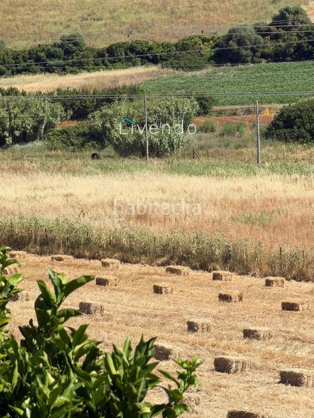 Foto cfed633f-0204-4807-a2f8-1f91ee4c1982. Casa a Vejer Vejer de la Frontera