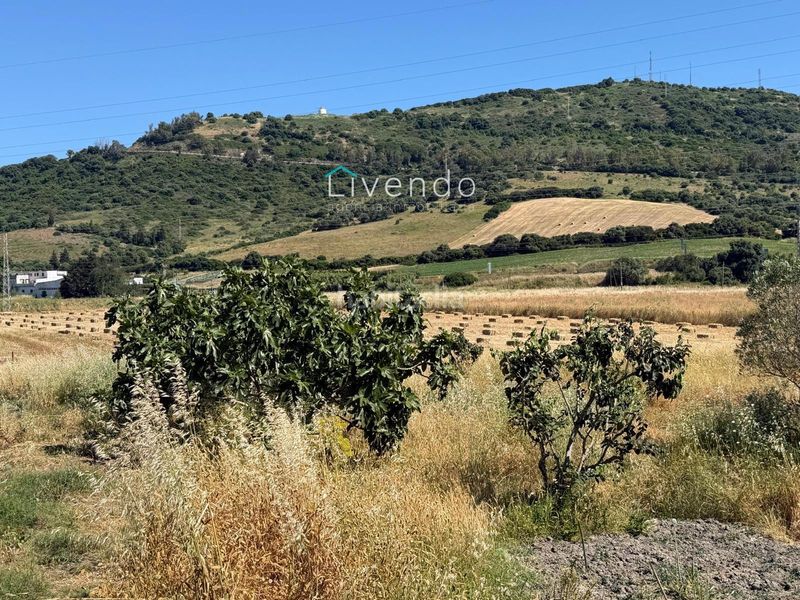 Foto d94ed0c7-90bd-43f2-9592-563b0bfbb03b. Casa a Vejer Vejer de la Frontera