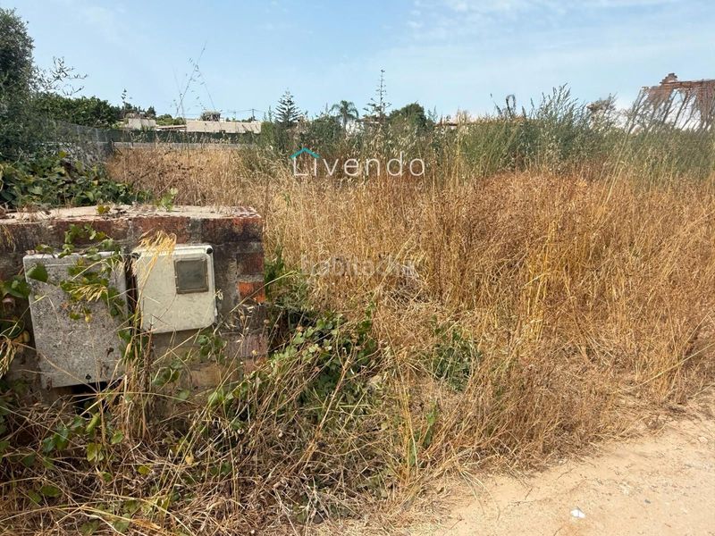 Foto a0823f5c-9c99-475a-a2ae-df7e1e0372df. Finca rústica a Conil Conil de la Frontera