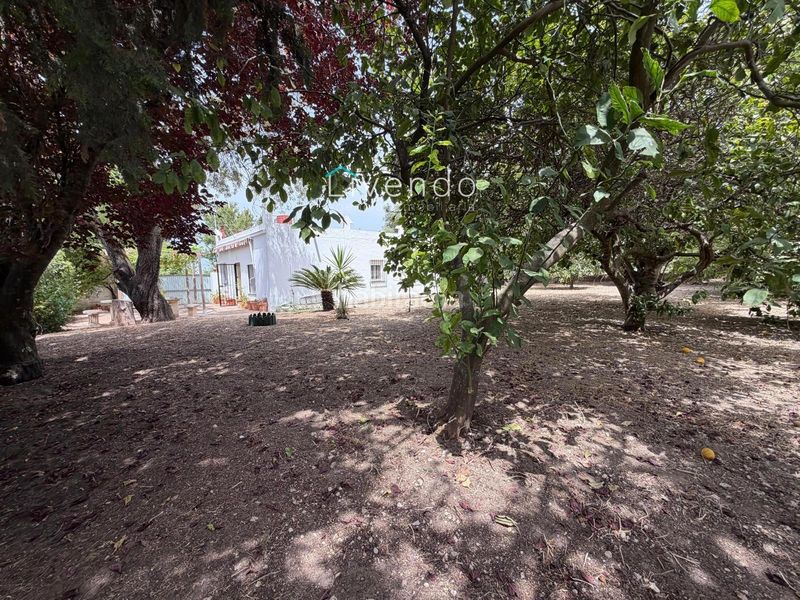 Foto 0e50f44c-1aa6-4530-85bd-65adef0e9e51. Xalet amb aparcament a Barrio Nuevo Conil de la Frontera