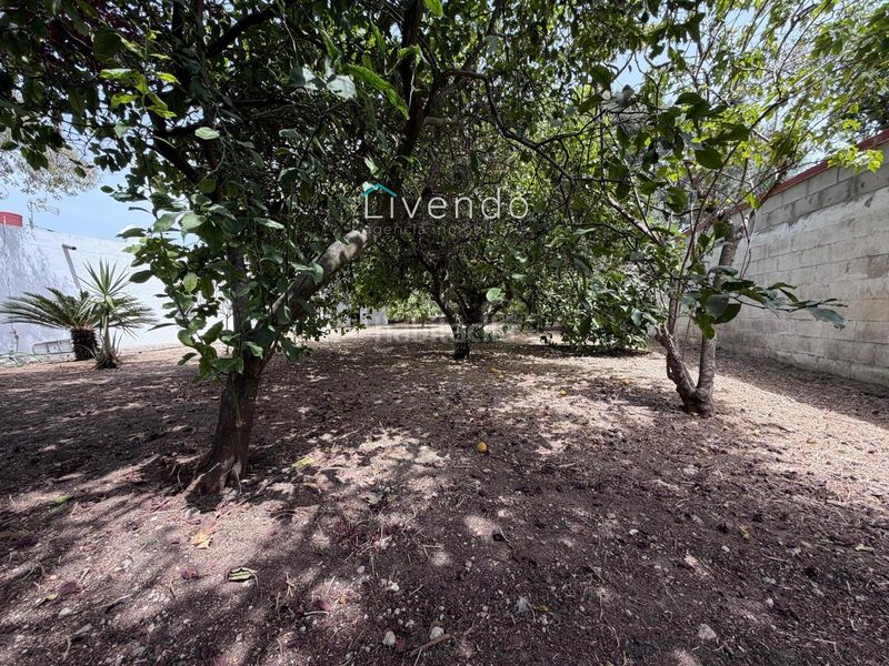 Foto bf00c476-a61b-4cc4-9012-c280b123cba7. Xalet amb aparcament a Barrio Nuevo Conil de la Frontera