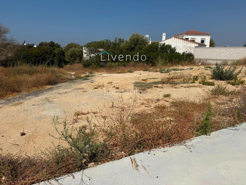 Foto 4422abad-6995-44f2-a5a9-64a6546fdba7. Finca rústica a Conil Conil de la Frontera
