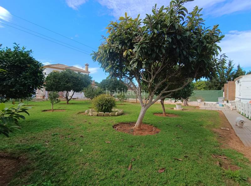 Foto 755c1615-69cf-4fd9-b3fc-84d0e6425169. Xalet a Las Lagunas - Campano Chiclana de la Frontera