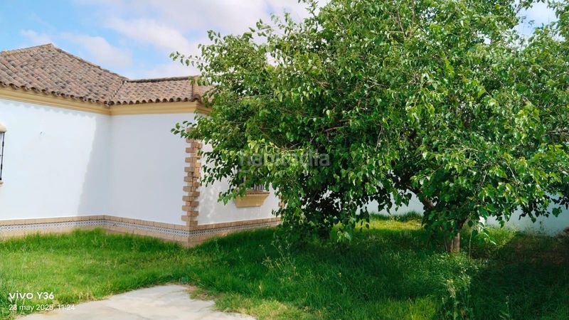 Foto d9876244-8d30-4ef3-a197-3d2a94ba6847. Xalet amb piscina a Los Franceses - La Vega Chiclana de la Frontera