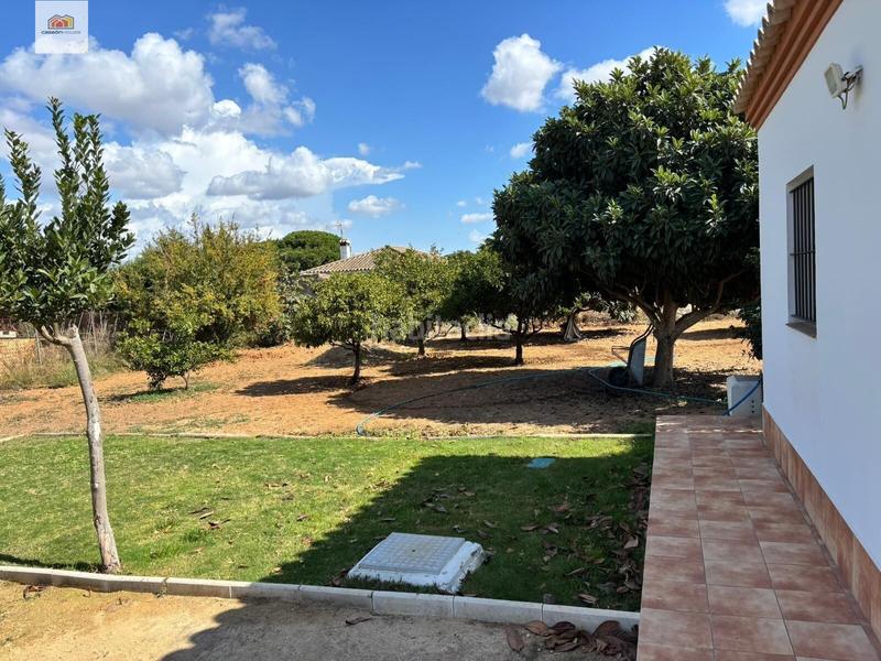 Foto c9c1c6b8-4246-458e-ba17-36b9714d2b25. Chalet mit pool in Las Lagunas - Campano Chiclana de la Frontera