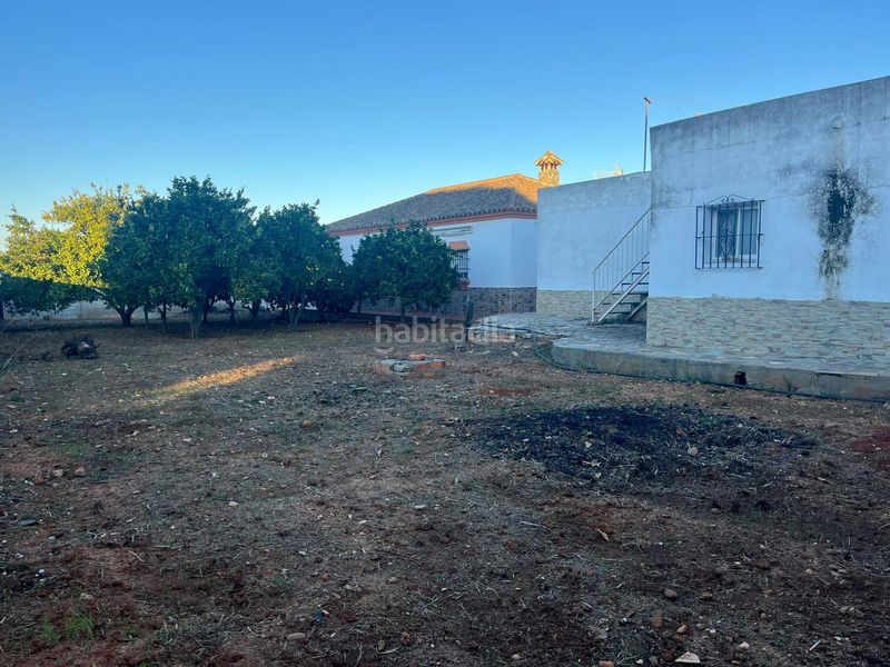Foto 061ff46b-3dba-4eef-af0e-8e7e8c638f20. Xalet amb piscina a Las Lagunas - Campano Chiclana de la Frontera