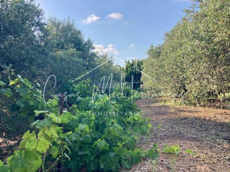 Foto 02bc40cd-59b7-4ff7-96b6-6a5ef97ba40e. Bauernhof mit kamin in Riudoms