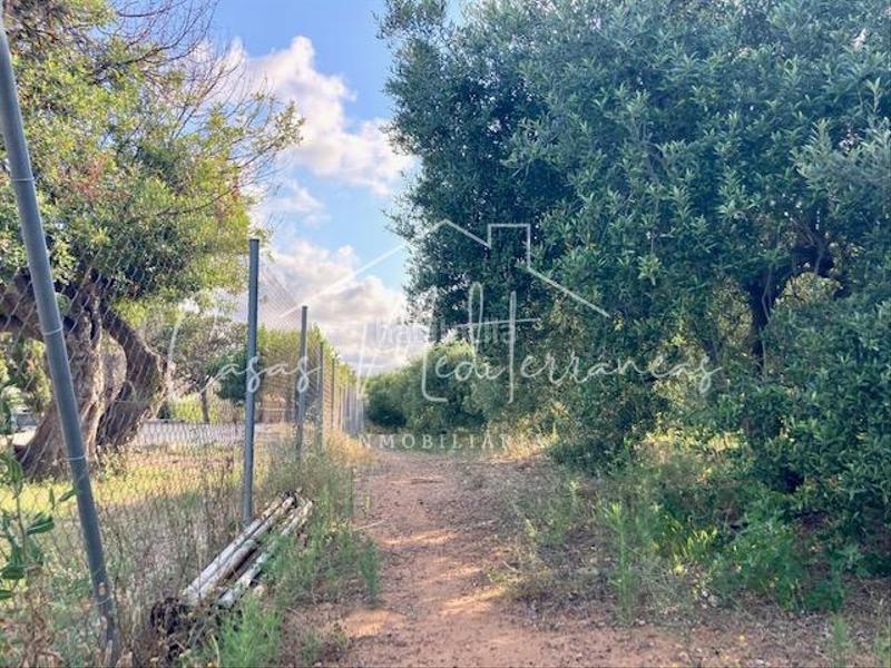 Foto 4c30be75-7b1a-4f4c-a947-382b883a066e. Bauernhof mit kamin in Riudoms