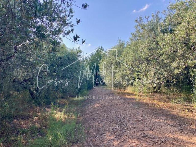 Foto 4d38a1f3-67f0-4171-ad19-26d71adee69e. Bauernhof mit kamin in Riudoms