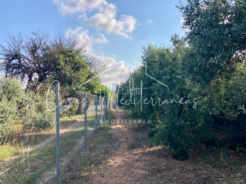 Foto 8829a25c-915a-4844-b118-b52f206dbac1. Bauernhof mit kamin in Riudoms