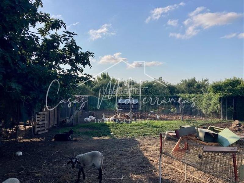 Foto a3f725b5-9fa0-4097-a199-122c77b8daef. Bauernhof mit kamin in Riudoms