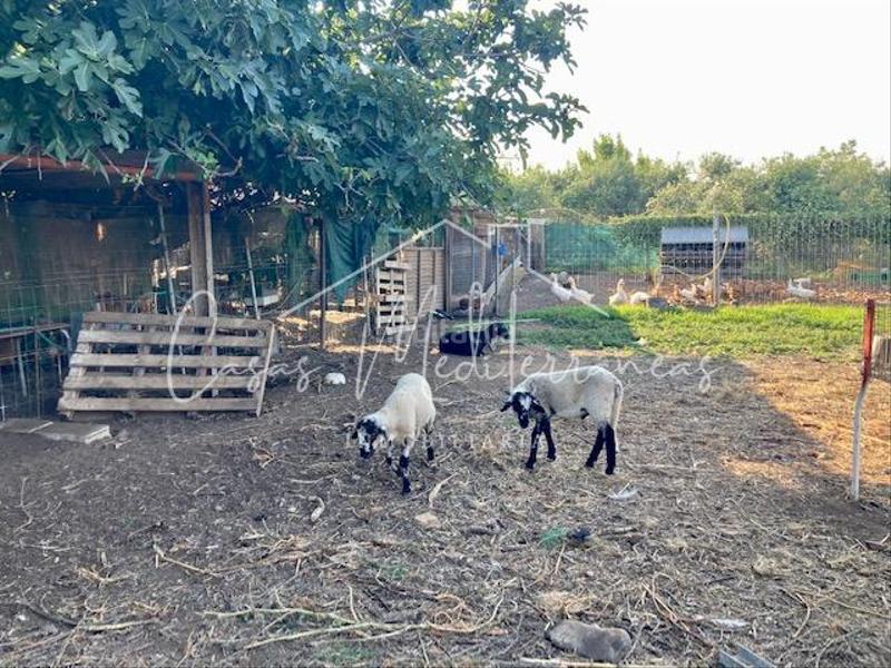 Foto bfdce831-54dc-4519-bbb8-ac4ab6cce654. Bauernhof mit kamin in Riudoms