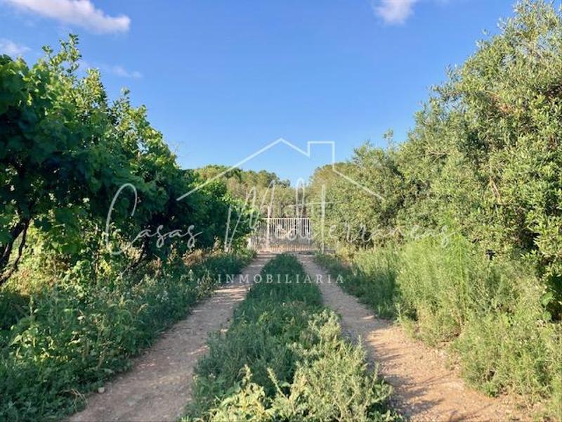 Foto c7750cac-dbf0-4bc5-a14f-604055288d99. Bauernhof mit kamin in Riudoms