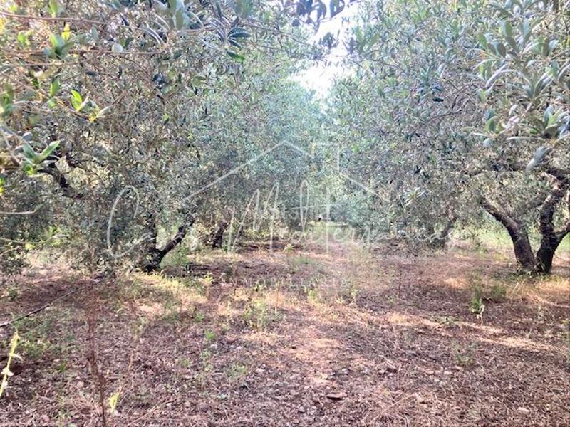 Foto f4962d46-3b61-4a9b-b51e-b8de164bbe30. Bauernhof mit kamin in Riudoms