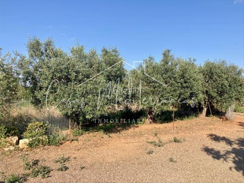 Foto fc71de21-61dd-4c2a-8208-4018ef23870b. Bauernhof mit kamin in Riudoms