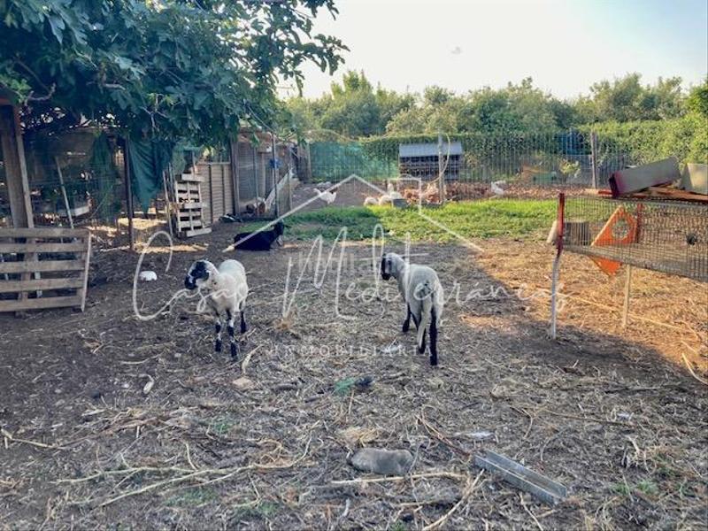 Foto fceb064e-01d0-4f09-910b-946ac4bd430b. Bauernhof mit kamin in Riudoms