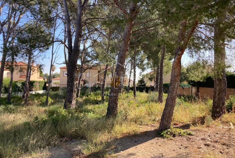 Foto 2897ead6-7311-44c6-861f-4278743317b9. Terreno residencial en El Casalot Mont-roig del Camp