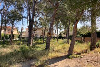 Terrain résidentiel à El Casalot