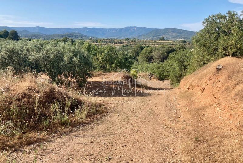 Foto 1ec0625e-1282-448f-aac2-73d5314d3b5d. Landgut in vial camino 8c in Riudoms