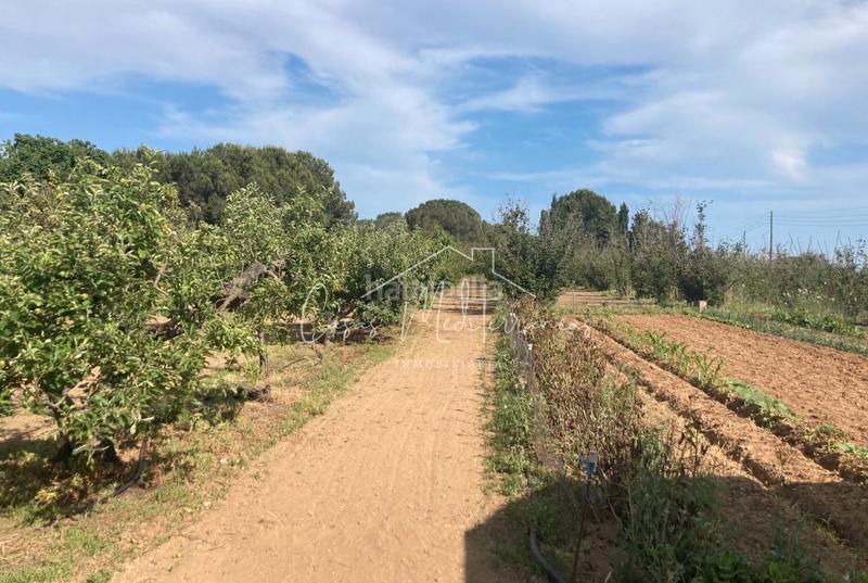 Foto 64838af5-3185-4d04-a036-ca3166b71d6f. Landgut in vial camino 8c in Riudoms