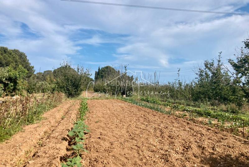 Foto 7c7f7390-881d-4a1c-83fd-ea2e920eef75. Landgut in vial camino 8c in Riudoms