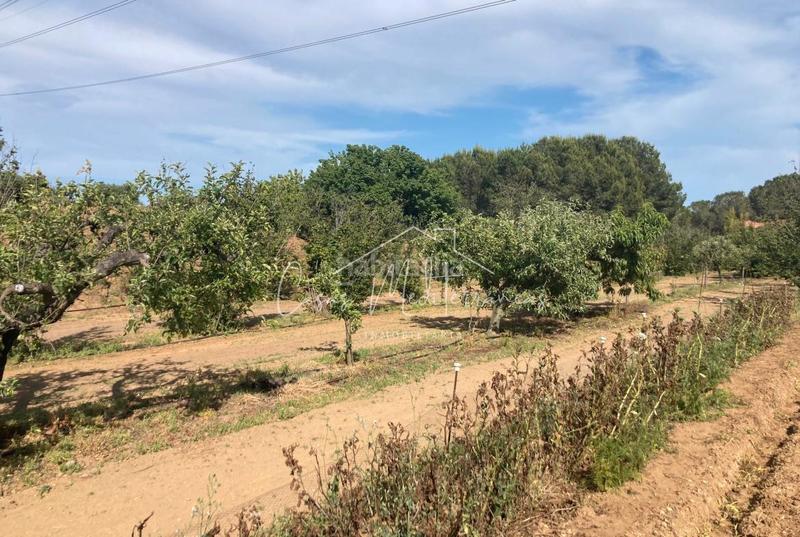 Foto 7c91f77e-f639-4a76-abf2-df8981207cc6. Landgut in vial camino 8c in Riudoms