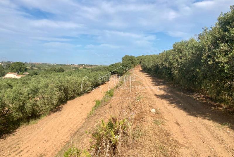 Foto ba113523-3000-463d-8b4a-35343486dc9d. Landgut in vial camino 8c in Riudoms