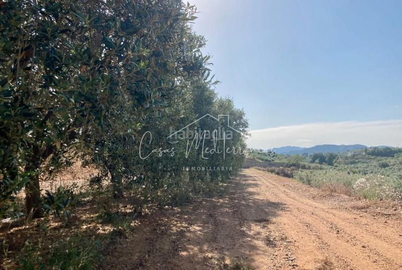 Foto d161a46c-fdb9-4f6e-b9bd-d9c0841fe1c5. Landgut in vial camino 8c in Riudoms