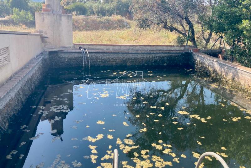 Foto ddeec6f5-08cd-455e-a820-aee7cd8304bb. Landgut in vial camino 8c in Riudoms