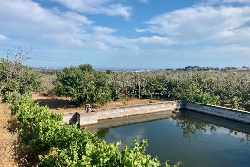 Foto e3b1f9cf-b451-4d98-ae05-50f9065e4f80. Landgut in vial camino 8c in Riudoms