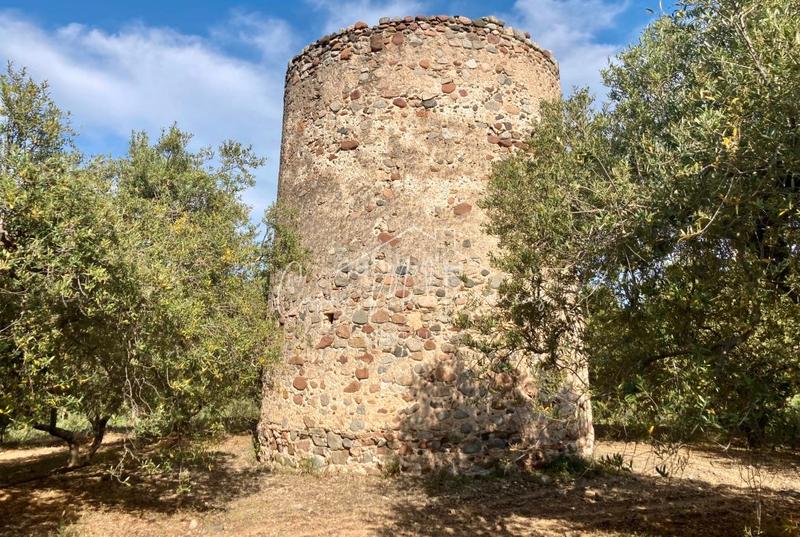 Foto f644a541-0011-49da-8a1b-4749ff77dd8b. Landgut in vial camino 8c in Riudoms