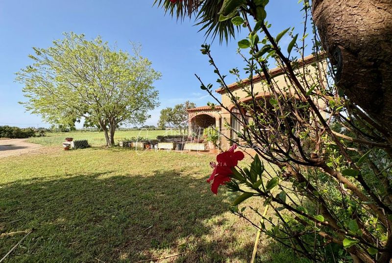 Foto 5c72732b-9b1a-48de-a4f0-b9aa671537a8. Finca rústica a Cambrils port Cambrils