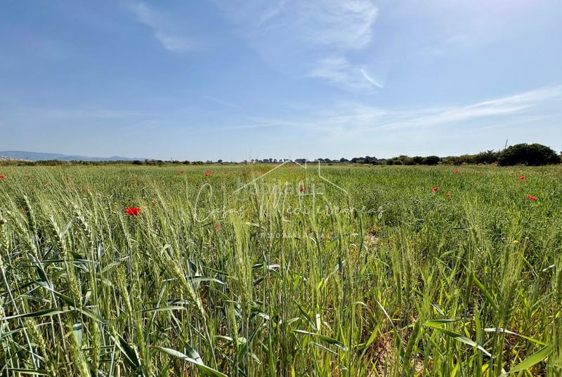 Foto 9db5c133-c95e-4a06-8a99-285f0db4cde5. Finca rústica a Cambrils port Cambrils