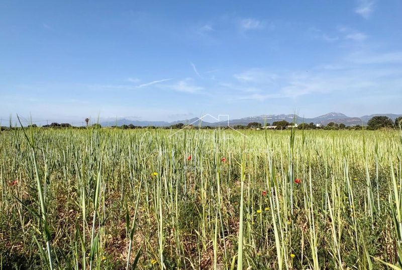 Foto a6fbeda1-da3e-4a79-896f-5a5d050bb716. Finca rústica a Cambrils port Cambrils