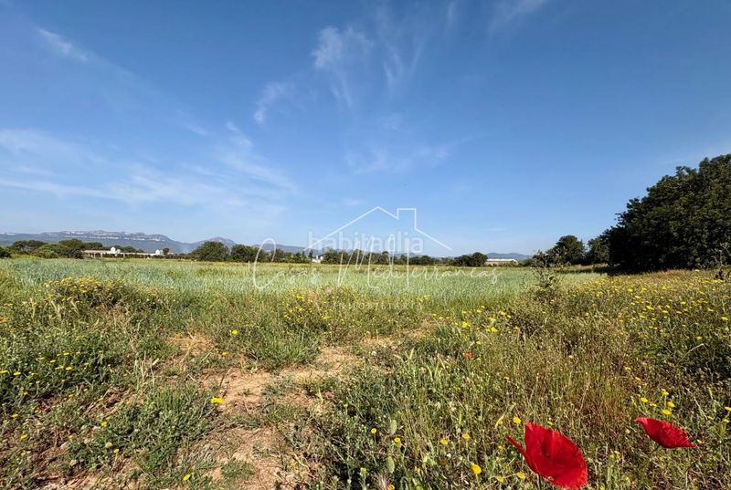 Foto c68b6dbb-b52f-468f-96af-b1a8b46a8e4e. Finca rústica a Cambrils port Cambrils