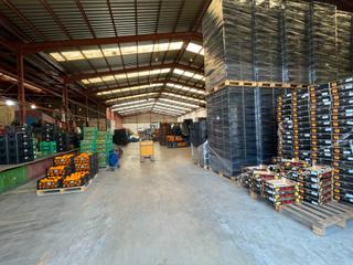 Nau industrial a Carrer d'algímia d'alfara 2. Venta de negocio familiar – almacén de naranjas en plena explota